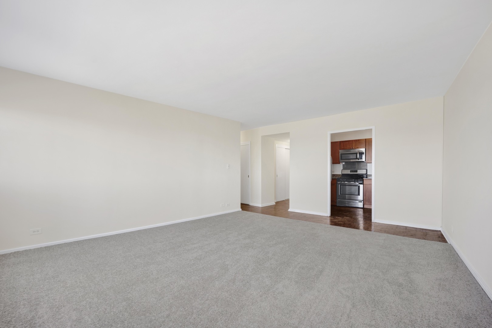 1150 N Lake Shore Drive 13C