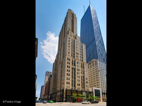 159 E Walton Place 15A Chicago IL 60611