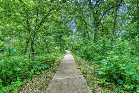 Tiny photo for 9101 S Hoyne Avenue, Chicago, IL 60643 (MLS # 12690357)