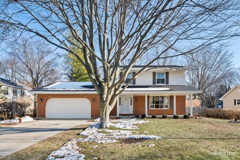 7S641 Welton Drive Big Rock IL 60511