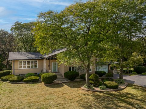Tiny photo for 11716 Center Drive, Lemont, IL 60439 (MLS # 12479285)