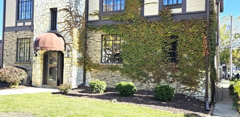 Tiny photo for 410 N Raynor Avenue #1W, Joliet, IL 60435 (MLS # 12522242)