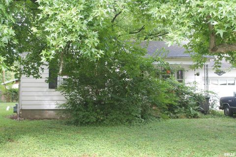 Photo of 813 N JAMES Street, Carbondale, IL 62901 (MLS # EB458817)