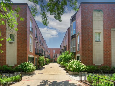 1125 W Newport Avenue E Chicago IL 60657