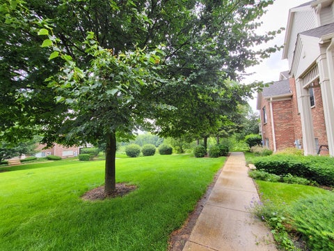Tiny photo for 3348 Cameron Drive, Elgin, IL 60124 (MLS # 12722941)
