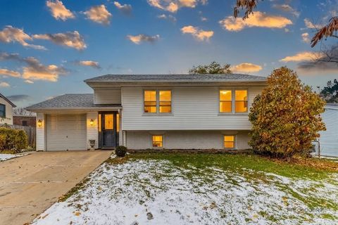 1096 Beechwood Road Buffalo Grove IL 60089
