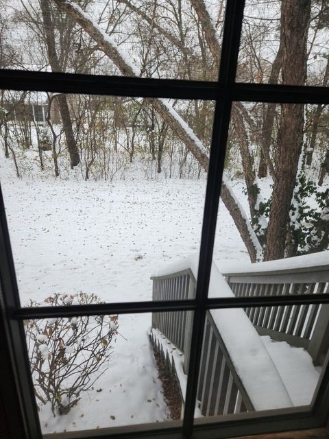 Tiny photo for 6808 Scotch Pine Trail, Darien, IL 60561 (MLS # 12528521)