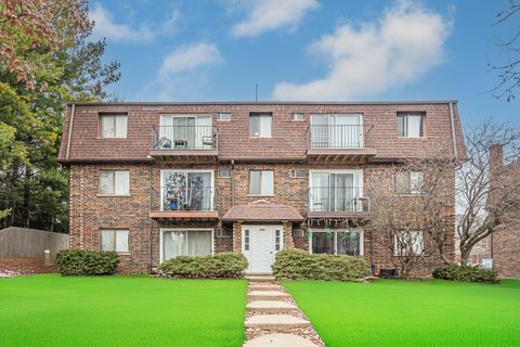 1225 Whispering Hills Court 3B Naperville IL 60540