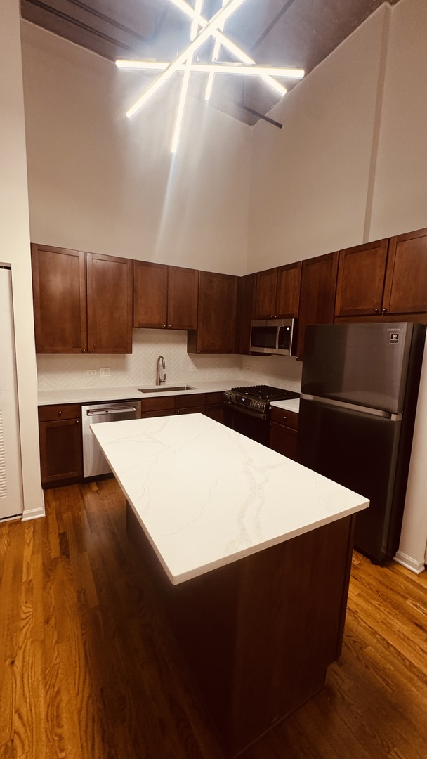 758 N Larrabee Street 325