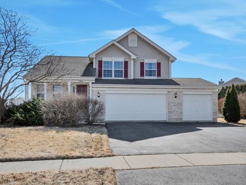 1606 Donegal Drive Minooka IL 60447