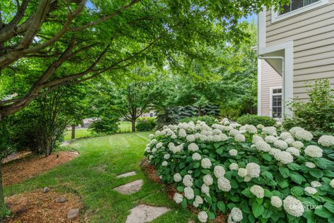 Tiny photo for 3704 Heathmoor Drive, Elgin, IL 60124 (MLS # 12480604)