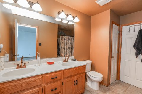 Tiny photo for 384 Raven Drive, Manteno, IL 60950 (MLS # 12520867)