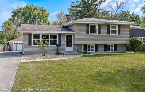 Photo of 132 Robin Hill Drive, Naperville, IL 60540 (MLS # 12479696)
