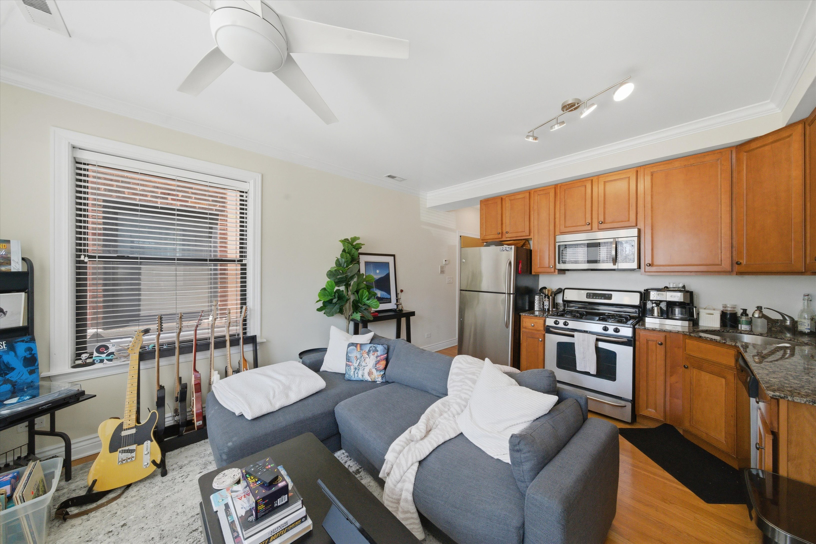 548 W Deming Place 1