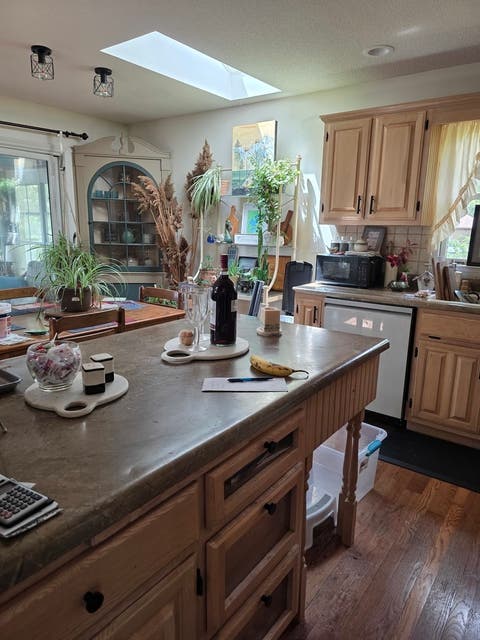Tiny photo for 107 Comanche Trail, Loda, IL 60948 (MLS # 12641917)