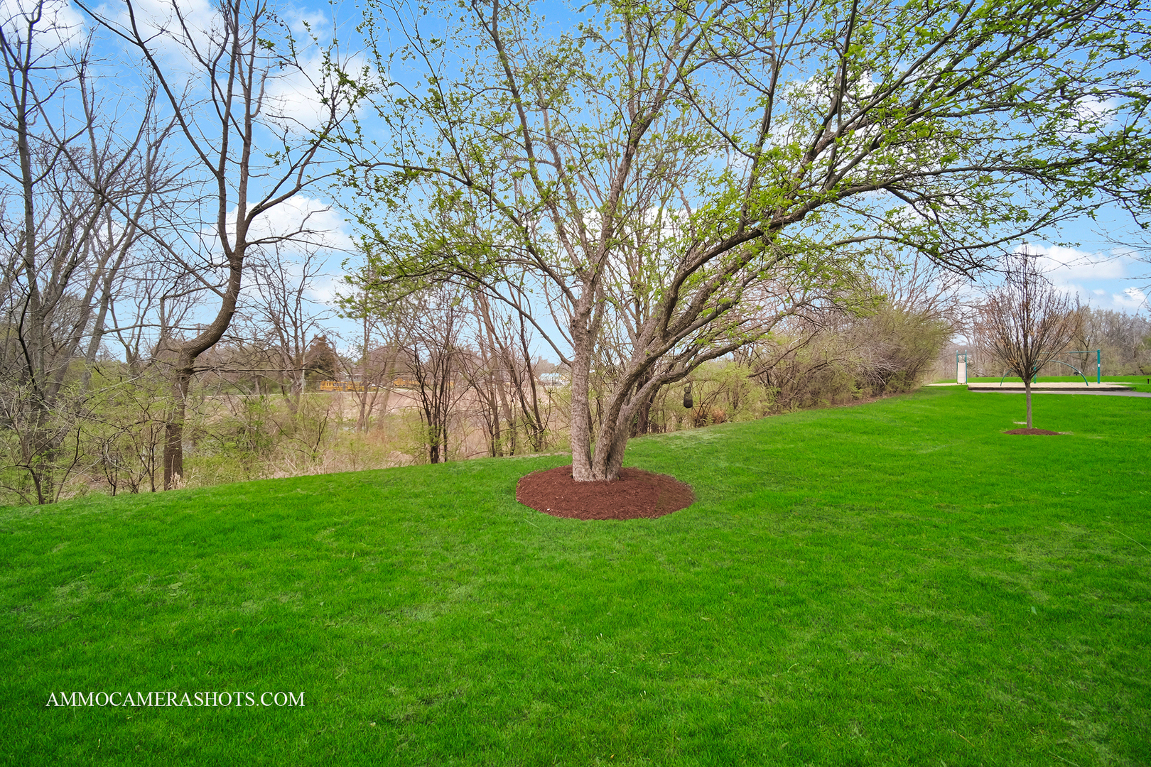 31505 Kline Circle 31505