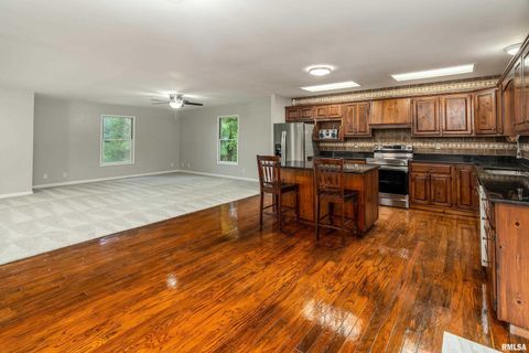 Tiny photo for 17937 Caplinger Pond Road, Marion, IL 62959 (MLS # EB459114)