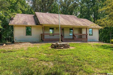 Tiny photo for 17937 Caplinger Pond Road, Marion, IL 62959 (MLS # EB459114)