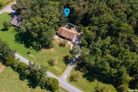 Tiny photo for 17937 Caplinger Pond Road, Marion, IL 62959 (MLS # EB459114)