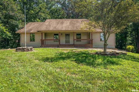 Tiny photo for 17937 Caplinger Pond Road, Marion, IL 62959 (MLS # EB459114)