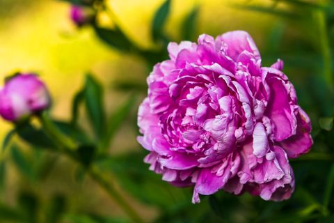 Tiny photo for 5814 Il Route 173, Richmond, IL 60071 (MLS # 12325532)