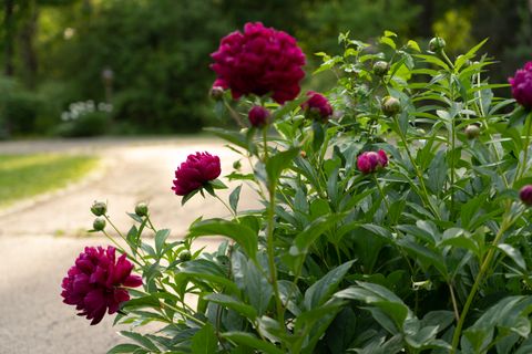 Tiny photo for 5814 Il Route 173, Richmond, IL 60071 (MLS # 12325532)