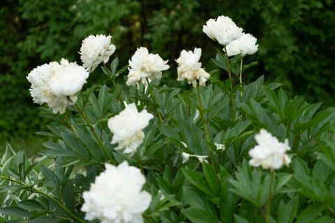 Tiny photo for 5814 Il Route 173, Richmond, IL 60071 (MLS # 12325532)