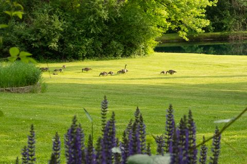 Tiny photo for 5814 Il Route 173, Richmond, IL 60071 (MLS # 12325532)