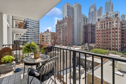 Tiny photo for Chicago, IL 60610 (MLS # 12638641)