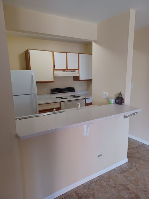 Tiny photo for 4314 W Shamrock Lane #2D, McHenry, IL 60050 (MLS # 12441588)