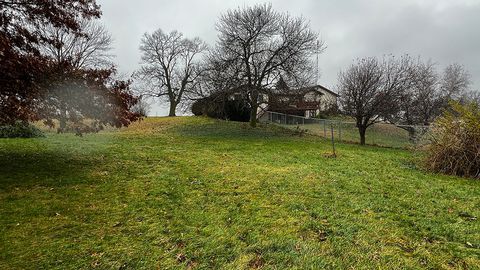 A home in Mt. Carroll