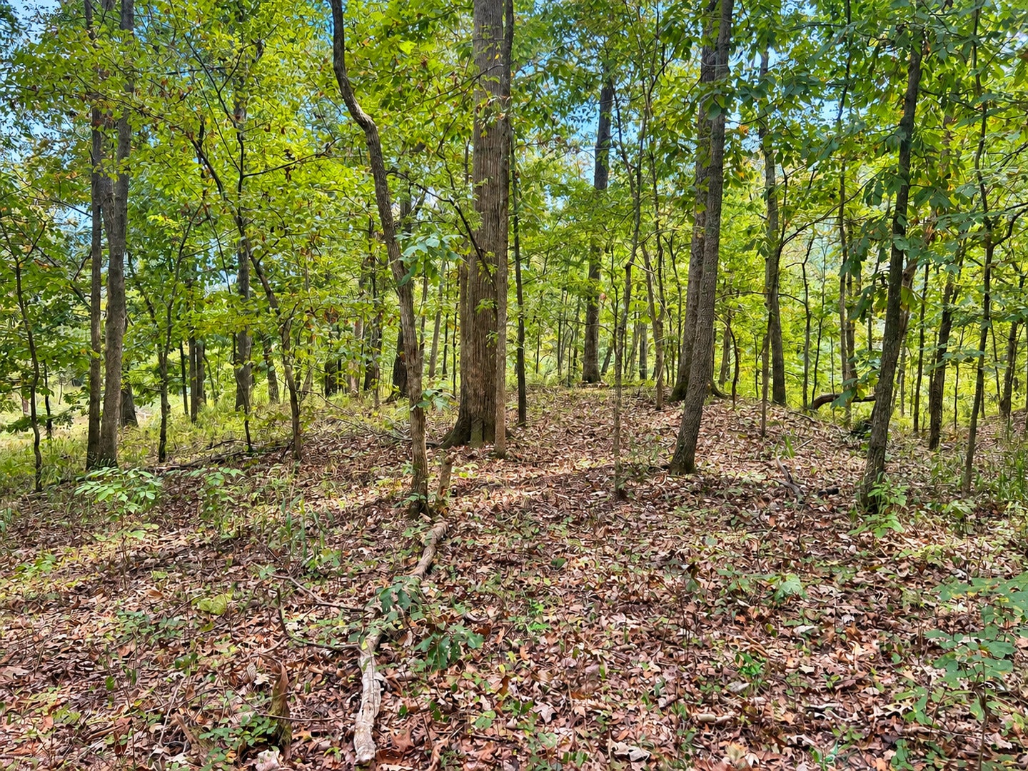 0000 Perry Road