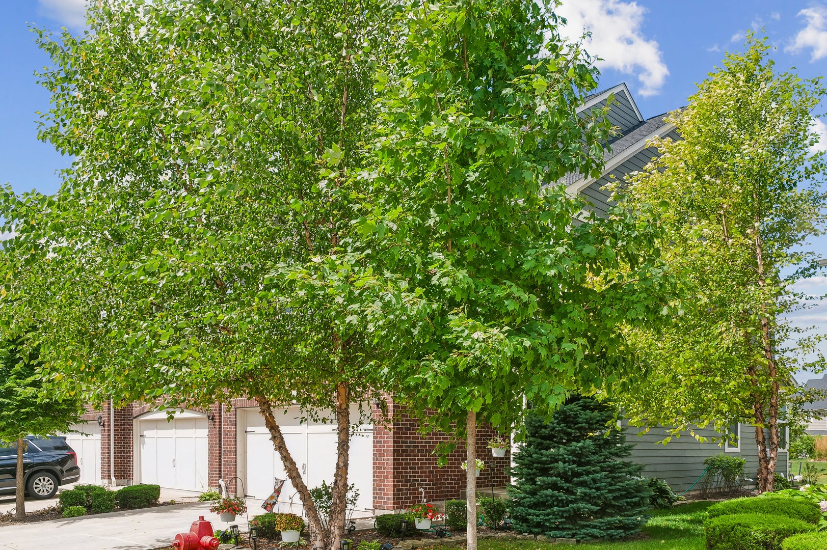 162 Waverly Court
