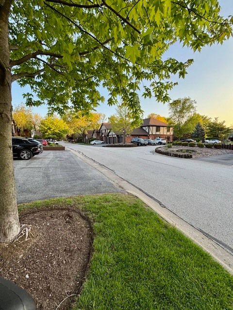 Tiny photo for 11151 Cottonwood Drive #19C, Palos Hills, IL 60465 (MLS # 12636282)