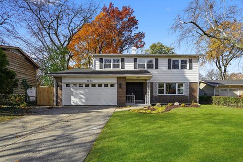 1404 S Birch Drive Mount Prospect IL 60056