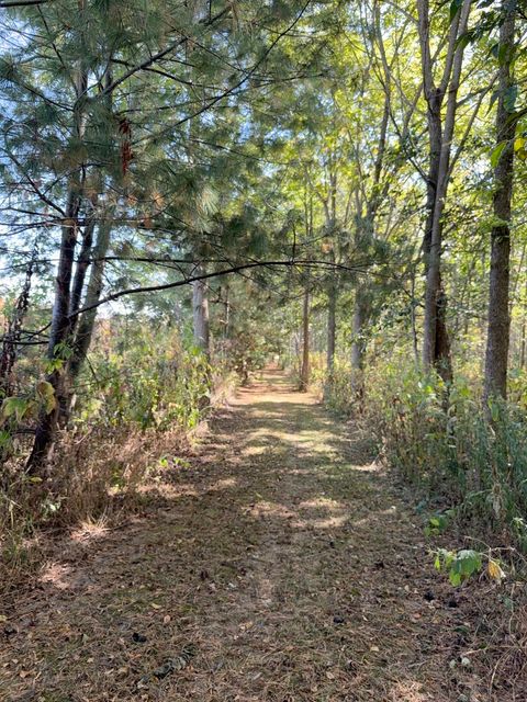 Tiny photo for 16555 Mclean Road, Danvers, IL 61732 (MLS # 12483508)