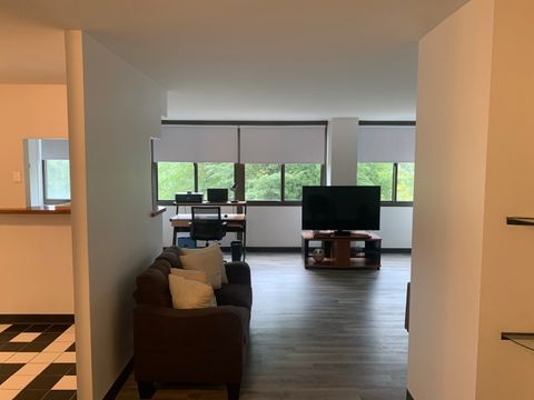 Tiny photo for 4850 S Lake Park Avenue #412, Chicago, IL 60615 (MLS # 12462221)