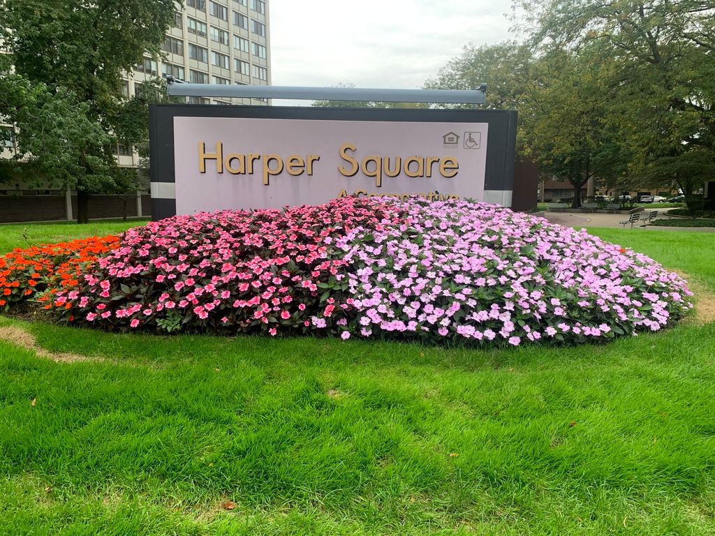 Photo for 4850 S Lake Park Avenue #412, Chicago, IL 60615 (MLS # 12462221)