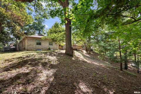 Tiny photo for 660 18TH Avenue, East Moline, IL 61244 (MLS # 12584327)