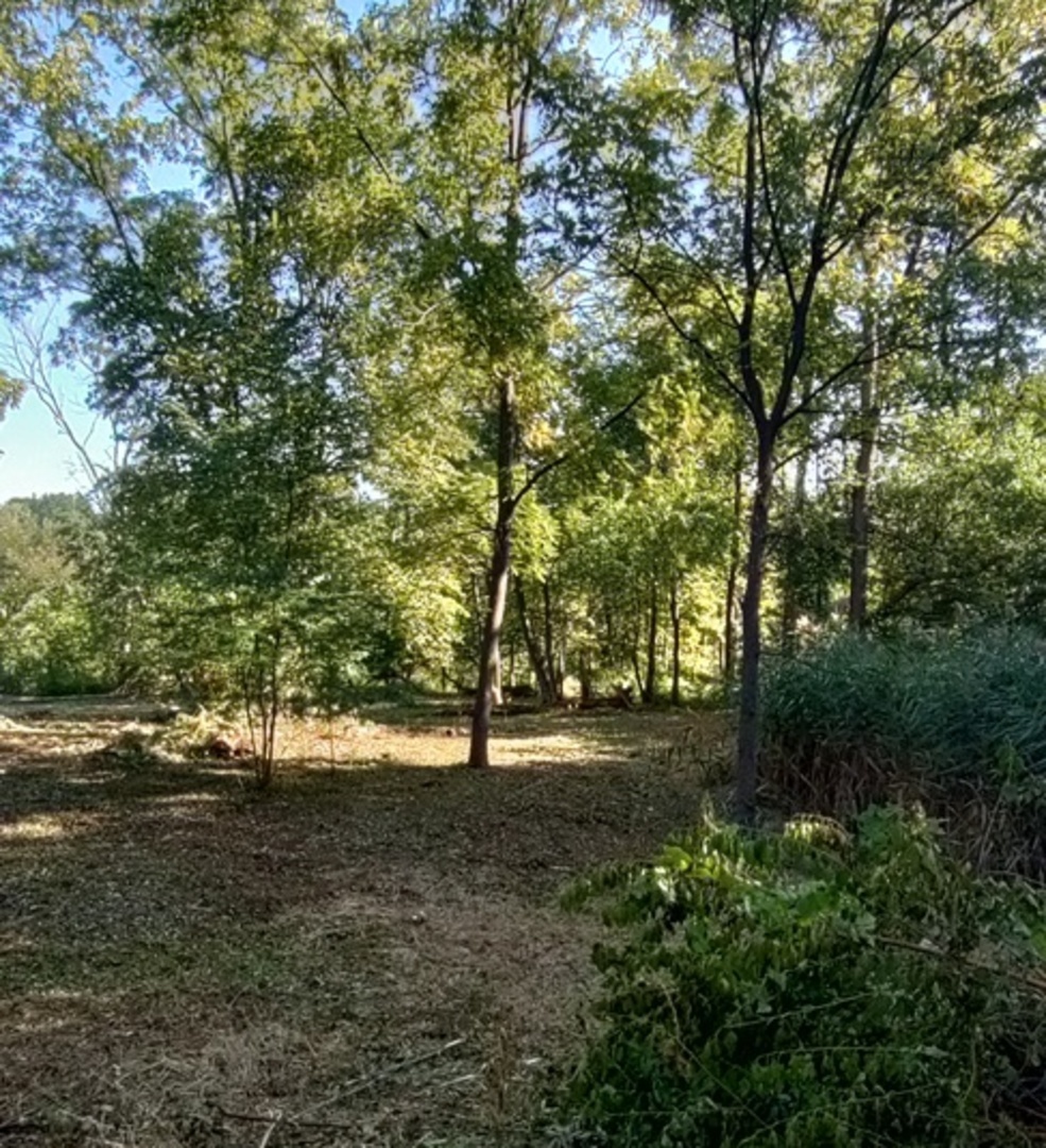 11 Rohrssen Lot 1 Road
