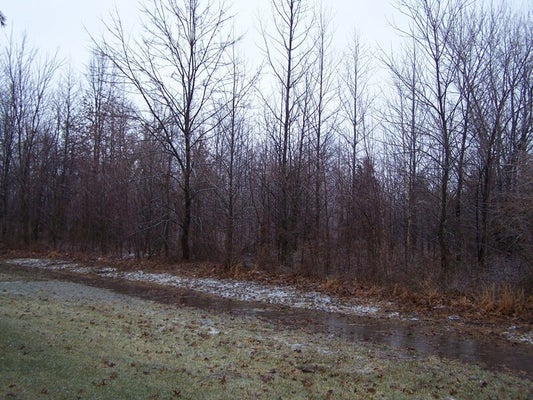 ADAMS DR, MARION, IL 62959 - Image 724bef559e317d766c8a58b06fb8f27d/3444523411