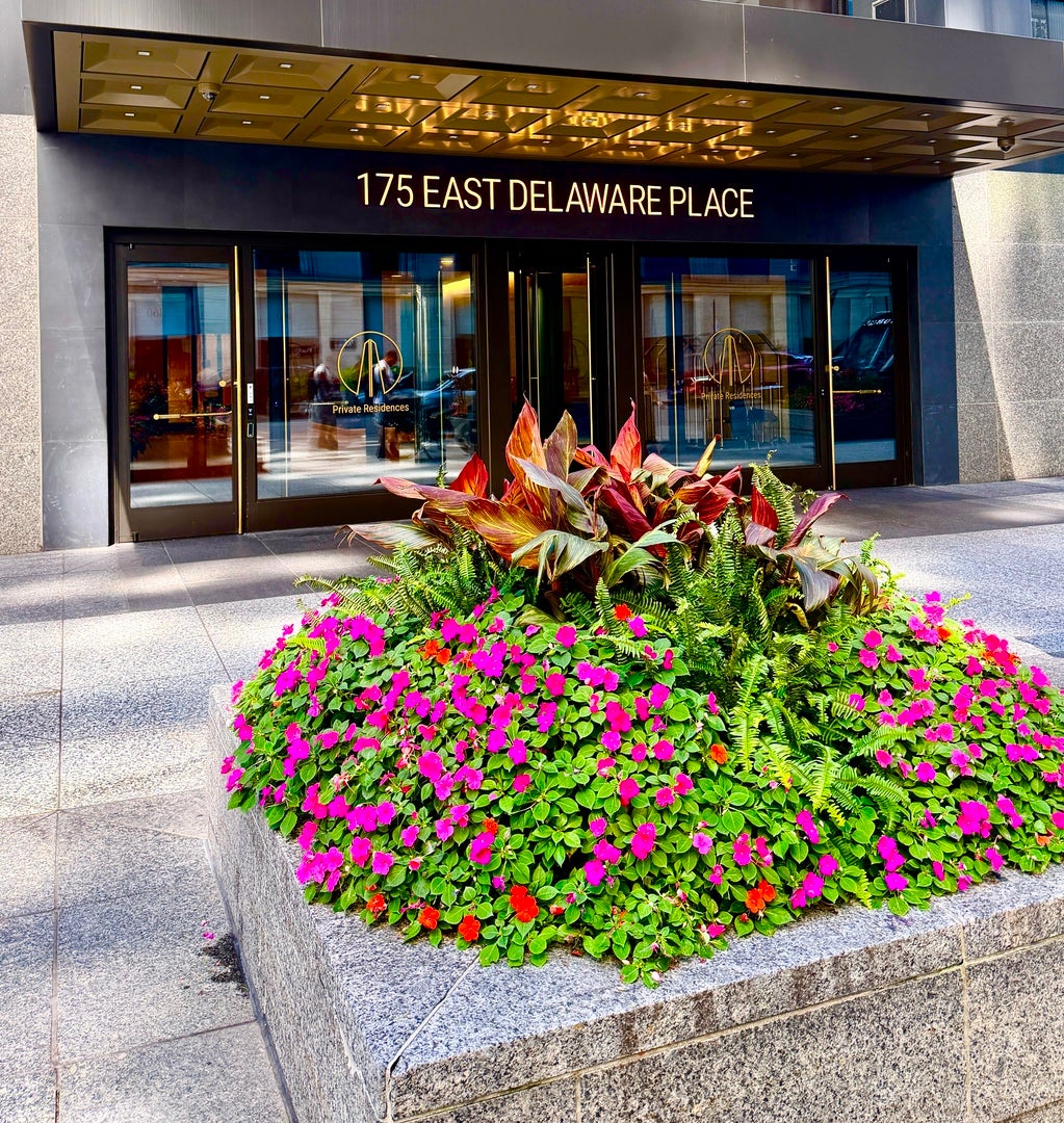 175 E Delaware Place 4507