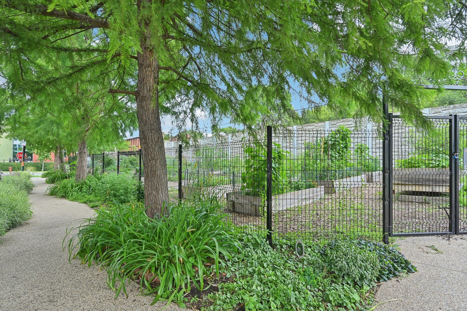 5318 N Ravenswood Avenue 106