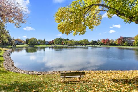 Tiny photo for 152 Brookston Drive #C2, Schaumburg, IL 60193 (MLS # 12505818)