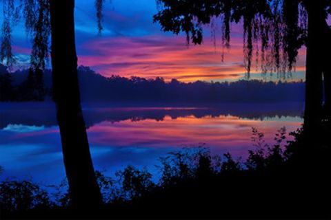 Tiny photo for 374 White Oak Lane #1190, Lake Barrington, IL 60010 (MLS # 12572379)