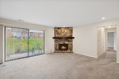 Tiny photo for 1010 E Glavin Court #1807, Palatine, IL 60074 (MLS # 12522628)