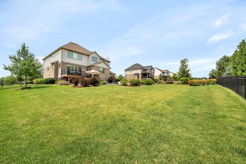 A home in Homer Glen