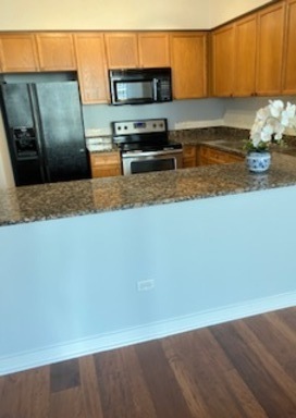 512 N MCCLURG Court 1509