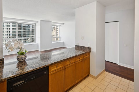 Tiny photo for 512 N MCCLURG Court #1509, Chicago, IL 60611 (MLS # 12579515)