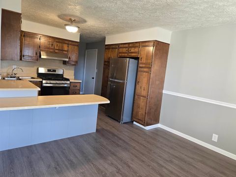 Tiny photo for 2460 Wasson Road, Harrisburg, IL 62946 (MLS # 100000027)